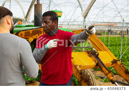 Quarrel of two farmers in greenhouse Quarrel of two farmers in greenhouse 65098373