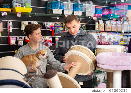 Father with teenager son and little dog choose products for cats in petshop Father with teenager son and little dog choose products for cats in petshop 65099232