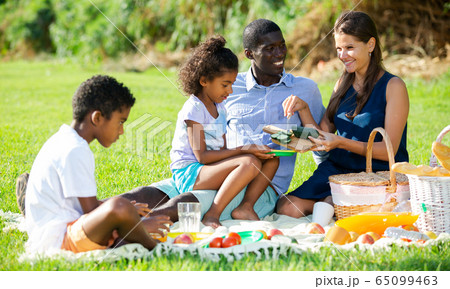Family enjoying picnic Family enjoying picnic 65099463