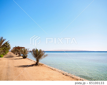 Red Sea beach in february, long view. Yellow sand Red Sea beach in february, long view. Yellow sand 65100133