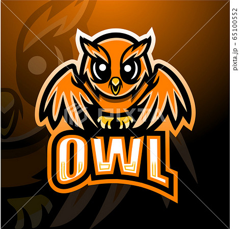 Owl mascot esport logo design	 65100552