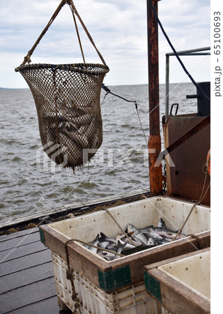 Salmon fishing season in Arctic Salmon fishing season in Arctic 65100693