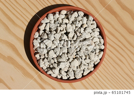 軽石 軽石 65101745