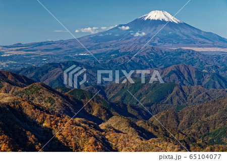 丹沢・塔ノ岳から見る紅葉の鍋割山稜と富士山 65104077