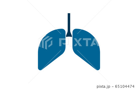 lungs icon. Simple vector illustration. lungs icon. Simple vector illustration. 65104474