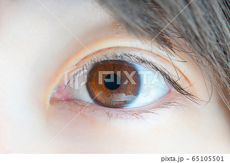 清潔感のある綺麗な瞳、日本人女性の眼、マクロイメージ 65105501