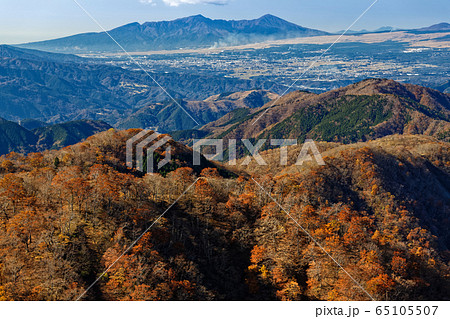 丹沢・塔ノ岳から見る紅葉の鍋割山稜と愛鷹山 丹沢・塔ノ岳から見る紅葉の鍋割山稜と愛鷹山 65105507
