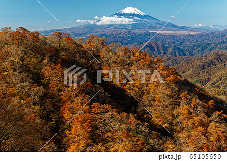 丹沢・塔ノ岳から見る紅葉の鍋割山稜と富士山 丹沢・塔ノ岳から見る紅葉の鍋割山稜と富士山 65105650