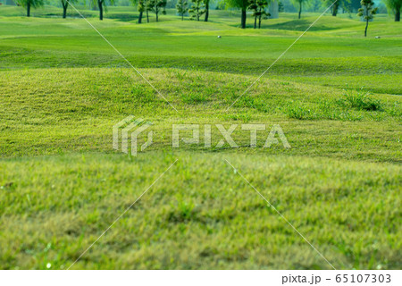 ゴルフ場　ゴルフコース　 65107303