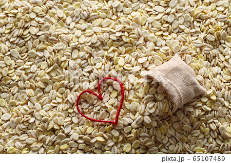 食糧危機と人道的支援 65107489