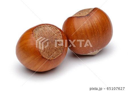 Fresh hazelnut isolated on white Fresh hazelnut isolated on white 65107627