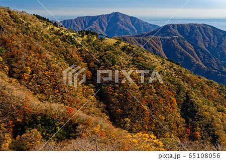 丹沢・鍋割山稜から見る紅葉の大倉尾根と表尾根・大山 丹沢・鍋割山稜から見る紅葉の大倉尾根と表尾根・大山 65108056