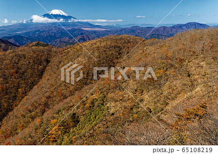 晩秋の丹沢・鍋割山と富士山 65108219