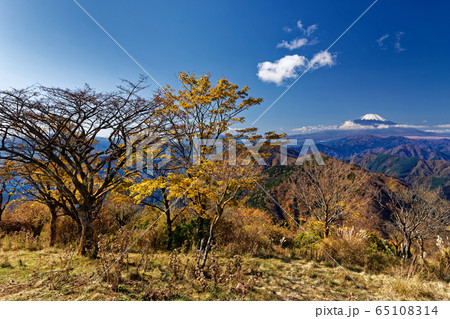 丹沢 鍋割山の紅葉と富士山の眺めの写真素材