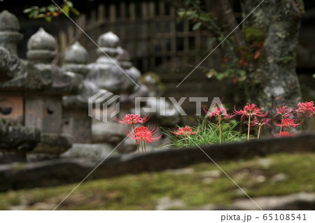 鳥取　四季の散歩　秋　池田家墓所 65108541