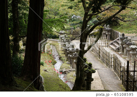 鳥取 四季の散歩 秋 池田家墓所 鳥取 四季の散歩 秋 池田家墓所 65108595