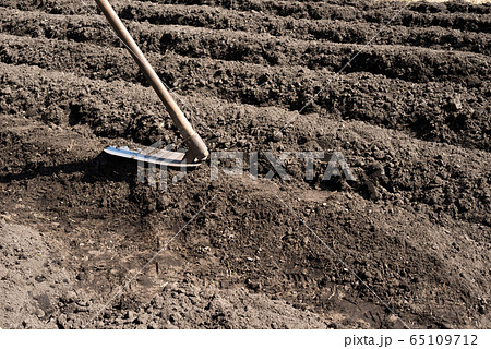 畑の畝と鍬 65109712