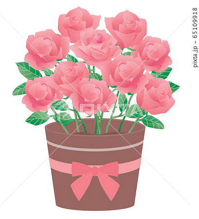 ピンクのバラの鉢植えのイラストのイラスト素材