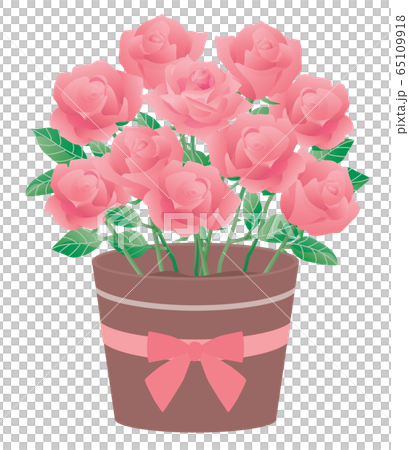 ピンクのバラの鉢植えのイラストのイラスト素材