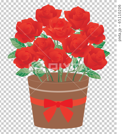 赤いバラの鉢植えのイラストのイラスト素材