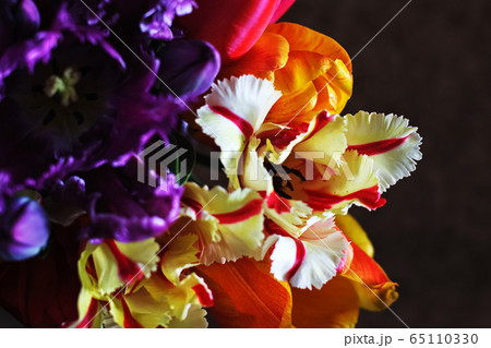 Colorful spring tulips in huge bunch as background 65110330