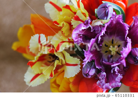 Colorful spring tulips in huge bunch as background Colorful spring tulips in huge bunch as background 65110331
