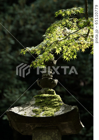 鳥取　四季の散歩　秋　池田家墓所 65110779