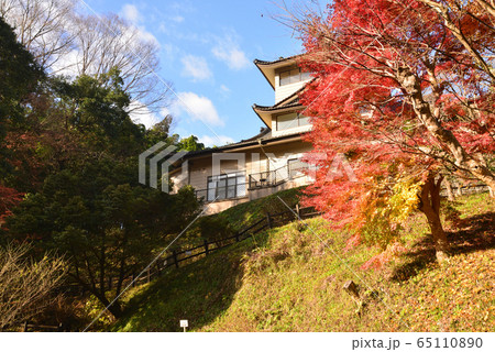龍門の滝 2019-11-30 #8 龍門の滝 2019-11-30 #8 65110890