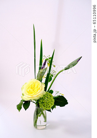 子供の日の花 子供の日の花 65110996