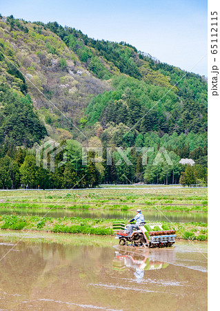 田植え 65112115