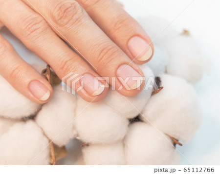 Completed manicure, prepared nails for varnish Completed manicure, prepared nails for varnish 65112766