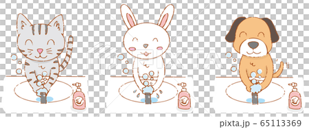 生活習慣_手洗い/ねこ・うさぎ・いぬ 65113369