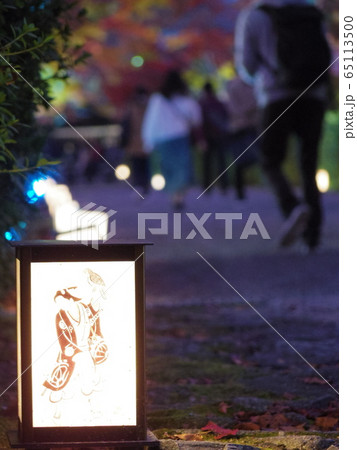 西教寺の紅葉ライトアップ 西教寺の紅葉ライトアップ 65113500