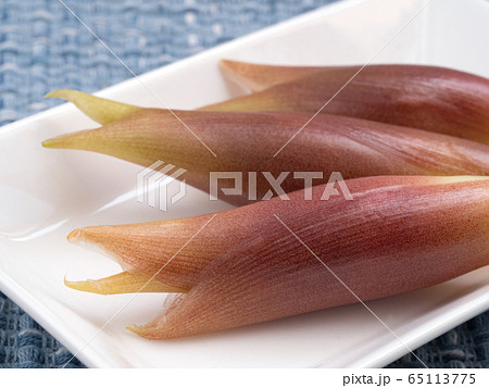 ミョウガ 65113775