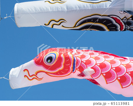鯉のぼり 鯉のぼり 65113981
