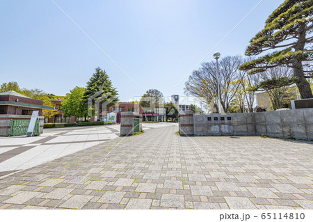 鳥取県鳥取市 快晴の鳥取大学 鳥取県鳥取市 快晴の鳥取大学 65114810