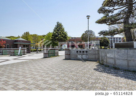 鳥取県鳥取市　快晴の鳥取大学 65114828