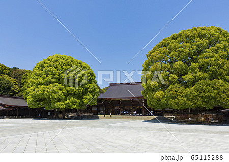 明治神宮 本殿 65115288