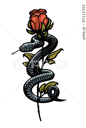 A Snake Entwined Around A Rose Vector のイラスト素材