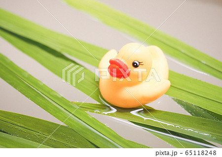 しょうぶ湯とアヒルのおもちゃ 65118248