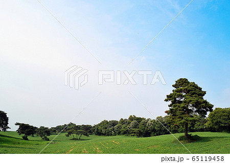 自然の風景 自然 風景 65119458