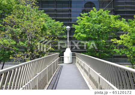 歩道橋上の風景(5月) 歩道橋上の風景(5月) 65120172