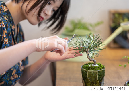 盆栽女子イメージ 65121461