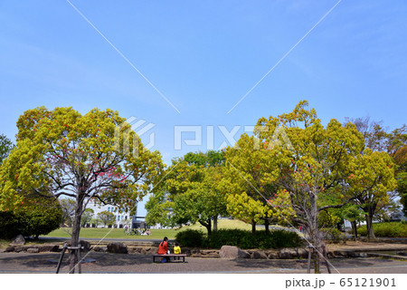 寒川中央公園のベンチに腰掛ける親子 寒川中央公園のベンチに腰掛ける親子 65121901