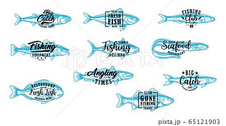 Fishing club, fish market and seafood symbols 65121903