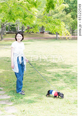 犬　散歩　女性 65122549