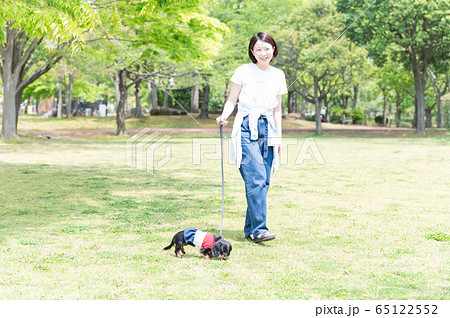 犬 散歩 女性 犬 散歩 女性 65122552