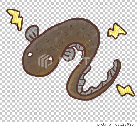 R: fairy tale Denki eel R: fairy tale Denki eel 65123089