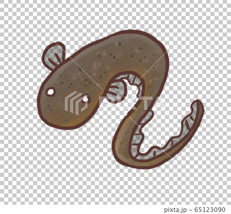 R: fairy tale Denki eel R: fairy tale Denki eel 65123090