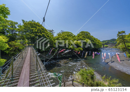 五竜の滝 こいのぼり 【静岡県】 五竜の滝 こいのぼり 【静岡県】 65123154